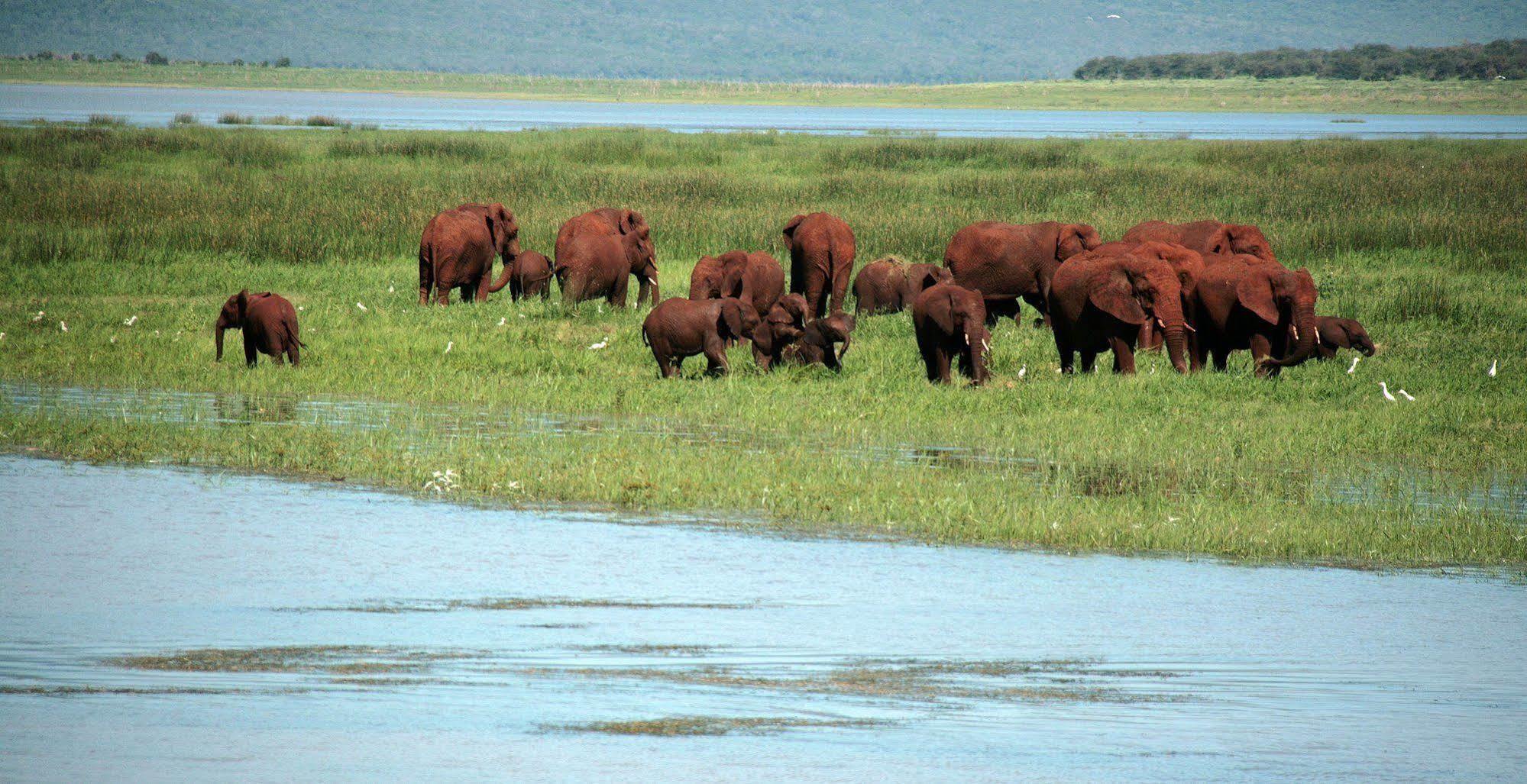Shayamoya Tiger Fishing And Game Lodge Pongola Zewnętrze zdjęcie